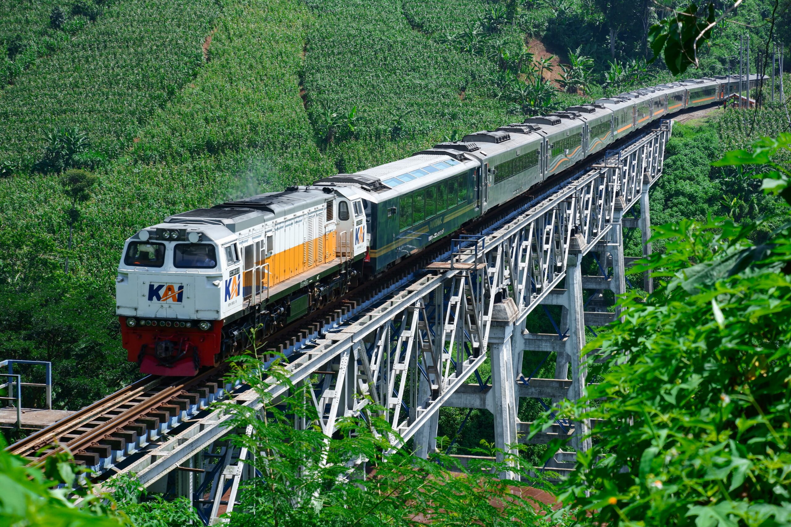 Melintasi Keajaiban Alam Indonesia dengan Kenyamanan Kereta Panoramic